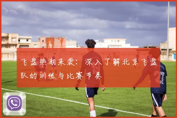 飞盘热潮来袭：深入了解北京飞盘队的训练与比赛节奏