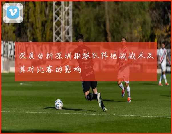 深度分析深圳排球队阵地战战术及其对比赛的影响