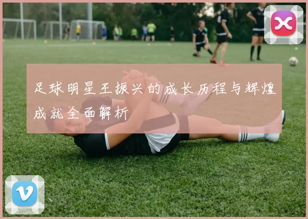 足球明星王振兴的成长历程与辉煌成就全面解析