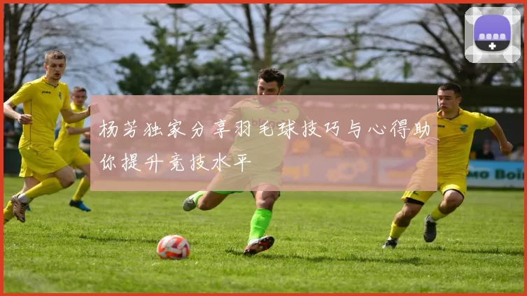杨芳独家分享羽毛球技巧与心得助你提升竞技水平
