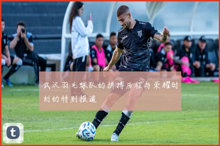 武汉羽毛球队的拼搏历程与荣耀时刻的特别报道