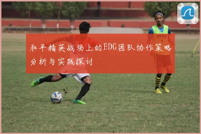 和平精英战场上的EDG团队协作策略分析与实践探讨