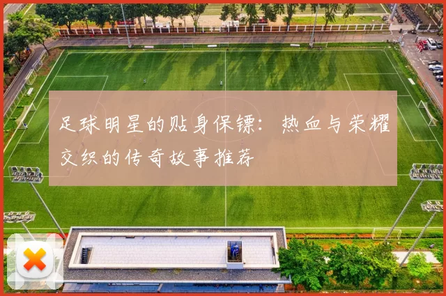 足球明星的贴身保镖：热血与荣耀交织的传奇故事推荐