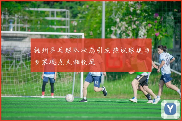 杭州乒乓球队状态引发热议球迷与专家观点大相径庭