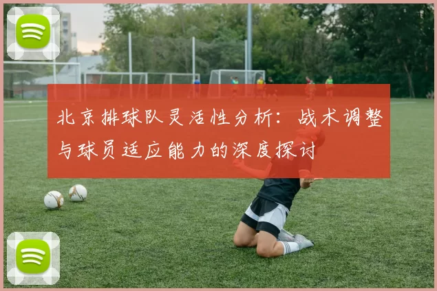 北京排球队灵活性分析：战术调整与球员适应能力的深度探讨