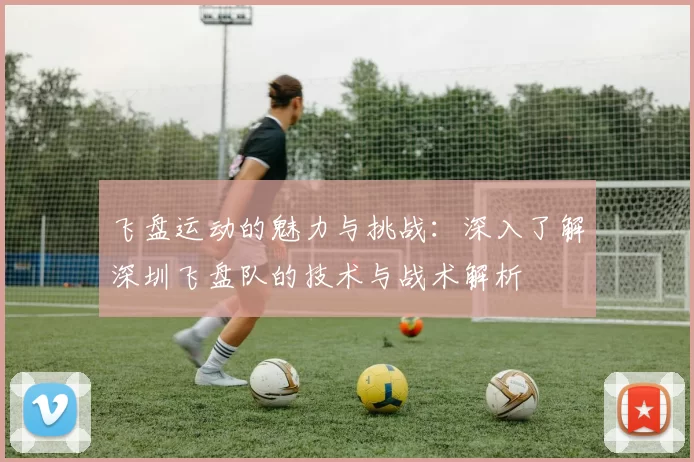 飞盘运动的魅力与挑战：深入了解深圳飞盘队的技术与战术解析