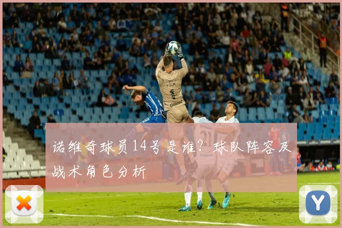 诺维奇球员14号是谁？球队阵容及战术角色分析
