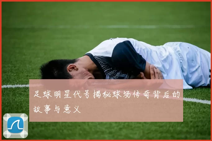 足球明星代号揭秘球场传奇背后的故事与意义