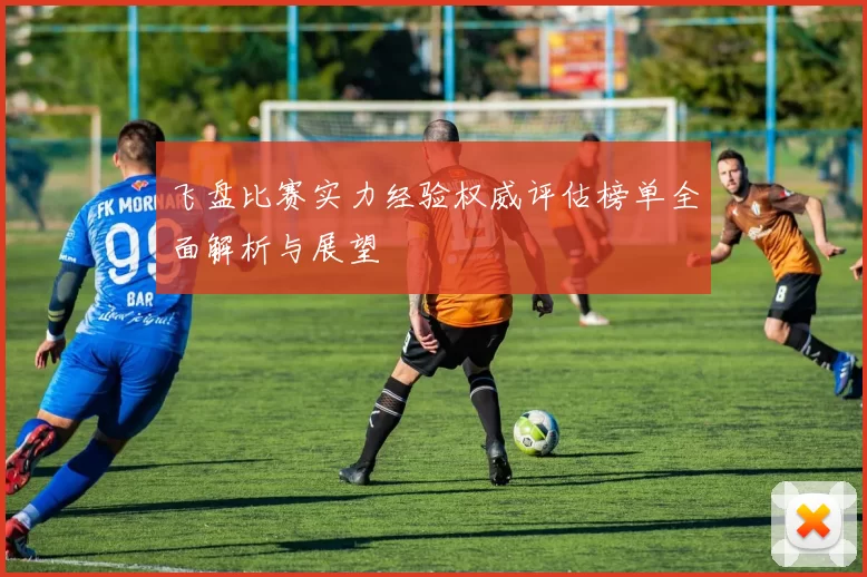 飞盘比赛实力经验权威评估榜单全面解析与展望