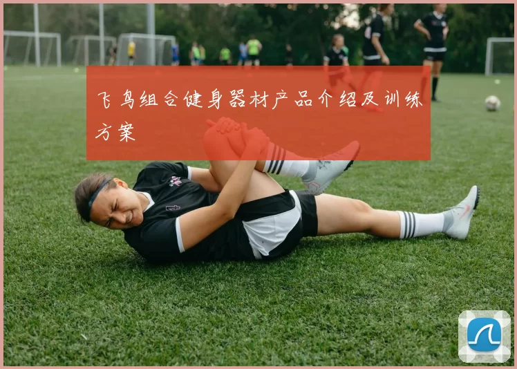 飞鸟组合健身器材产品介绍及训练方案