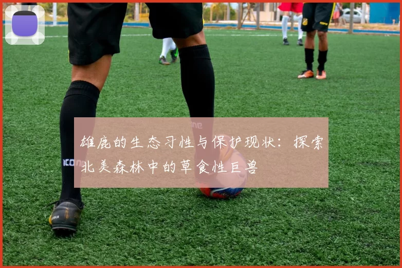 雄鹿的生态习性与保护现状：探索北美森林中的草食性巨兽